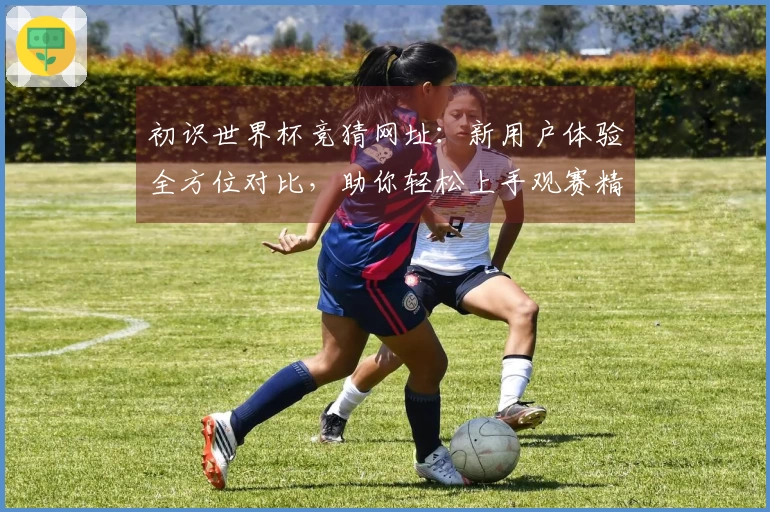 初识世界杯竞猜网址：新用户体验全方位对比，助你轻松上手观赛精彩