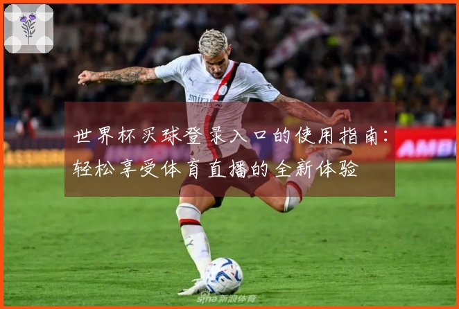 世界杯买球登录入口的使用指南：轻松享受体育直播的全新体验