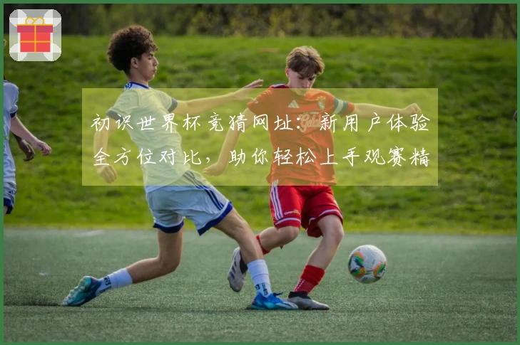 初识世界杯竞猜网址：新用户体验全方位对比，助你轻松上手观赛精彩