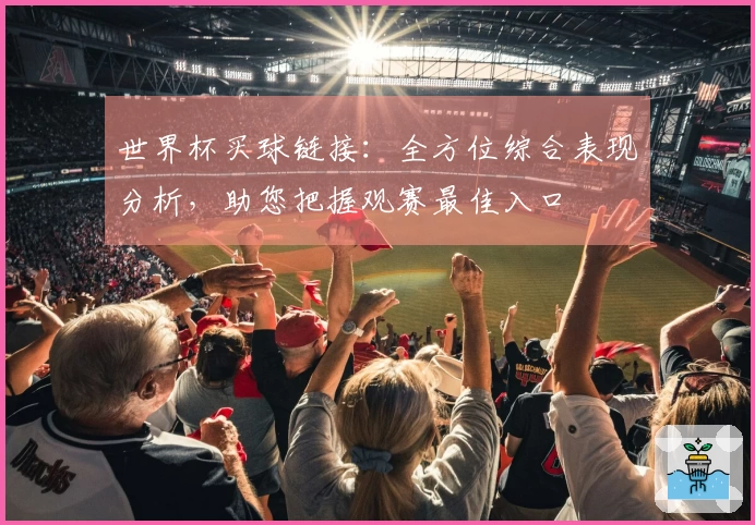 世界杯买球链接：全方位综合表现分析，助您把握观赛最佳入口