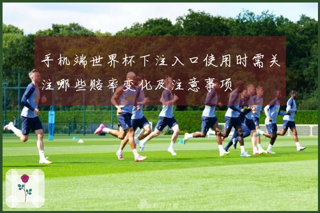手机端世界杯下注入口使用时需关注哪些赔率变化及注意事项