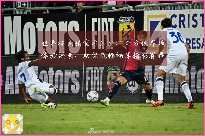 世界杯竞猜官方入口：全方位界面体验说明，助你流畅畅享精彩赛事