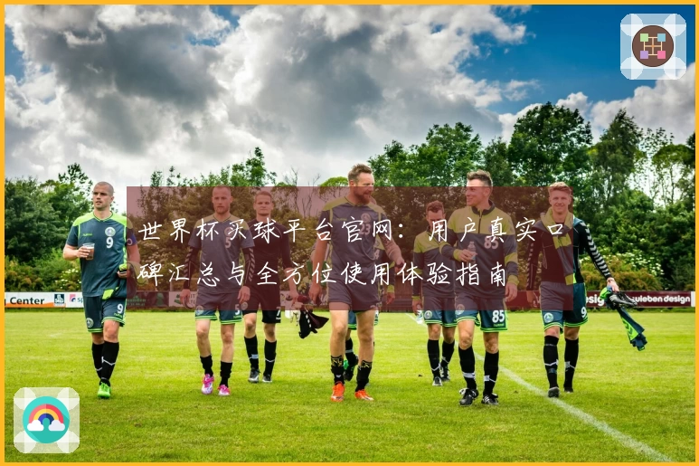 世界杯买球平台官网：用户真实口碑汇总与全方位使用体验指南