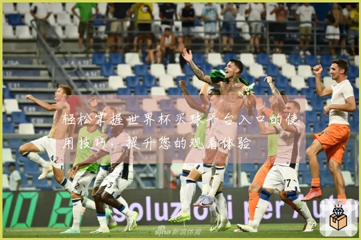 轻松掌握世界杯买球平台入口的使用技巧，提升您的观看体验