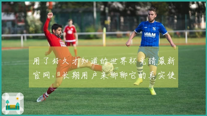 用了好久才知道的世界杯竞猜最新官网，长期用户来聊聊它的真实使用体验