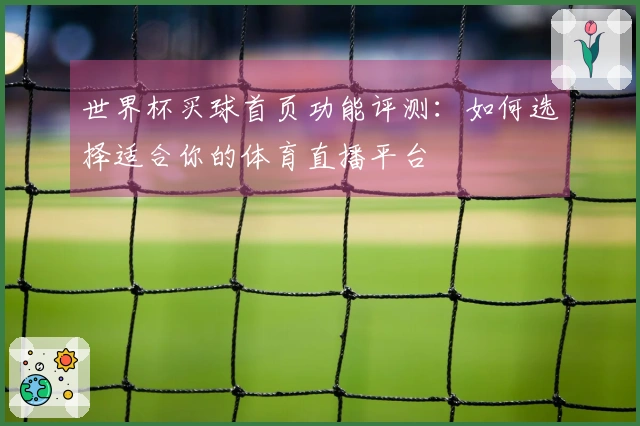 世界杯买球首页功能评测：如何选择适合你的体育直播平台