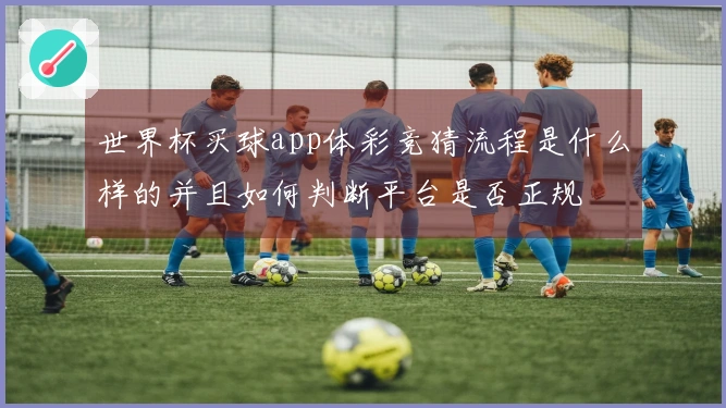 世界杯买球app体彩竞猜流程是什么样的并且如何判断平台是否正规
