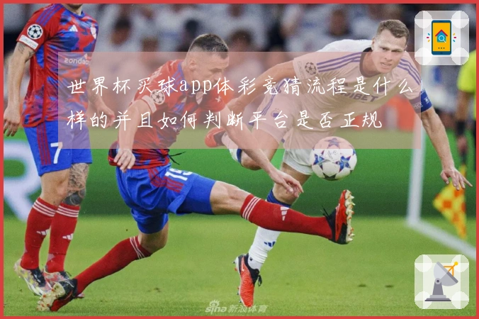 世界杯买球app体彩竞猜流程是什么样的并且如何判断平台是否正规