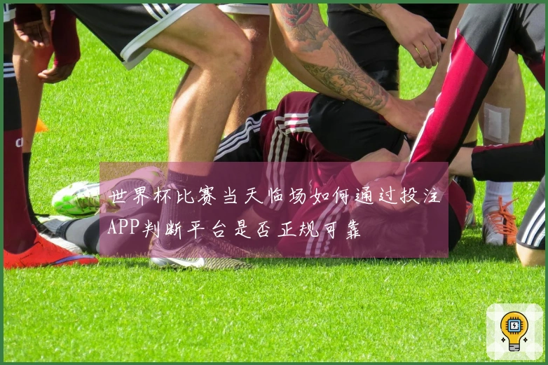 世界杯比赛当天临场如何通过投注APP判断平台是否正规可靠