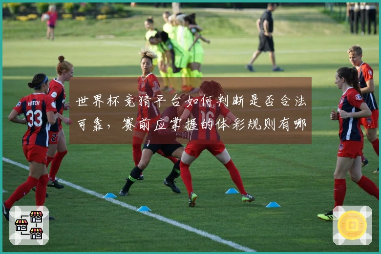 世界杯竞猜平台如何判断是否合法可靠，赛前应掌握的体彩规则有哪些