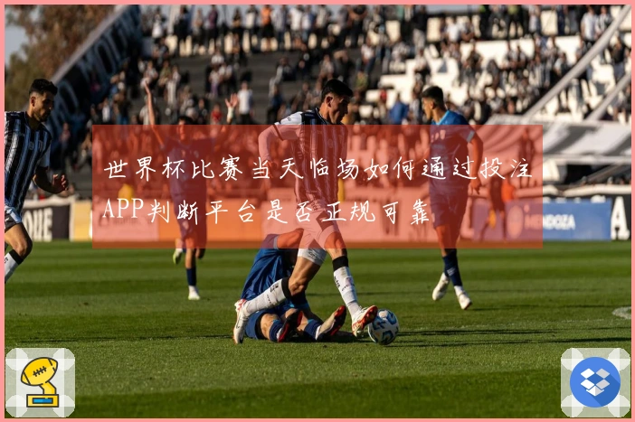 世界杯比赛当天临场如何通过投注APP判断平台是否正规可靠